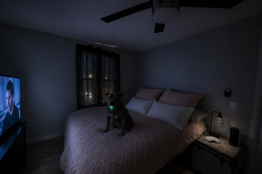 pit bull pillows bedding luxury amenities reviews sleep help 
